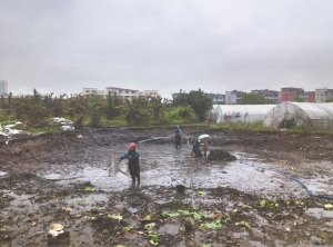 道里河道鱼塘清淤